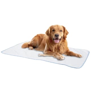 431057-pet-cooling-blanket-2