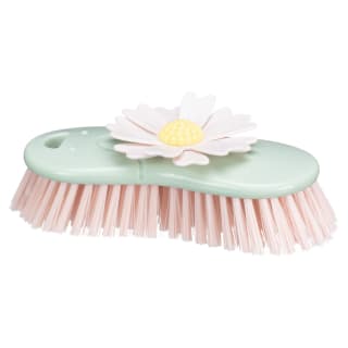 431529-daisy-scrub-brush