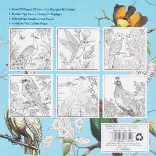 431770-colouring-book-birds-back
