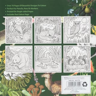 431770-colouring-book-nature-back