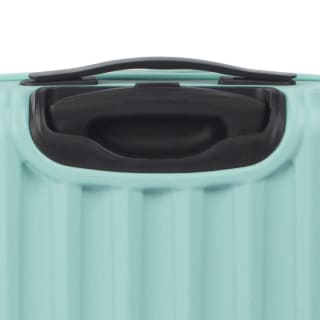 432026-432027-432028-havana-sage-case-3