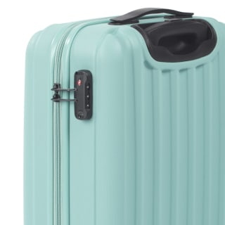 432026-432027-432028-havana-sage-case-4