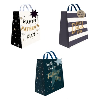 433828-fathers-day-gift-bag-group