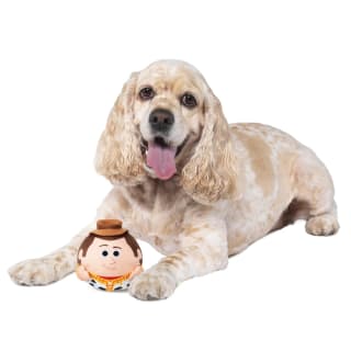 434072--toy-story-pet-toy-6