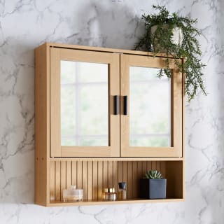 Bathroom Collection Mirrored Wall Cabinet