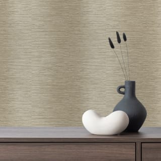 434456-kaito-biscuit-wallpaper