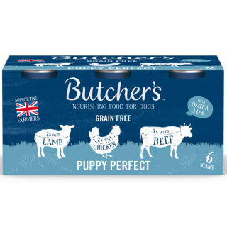 434534-butchers-puppy