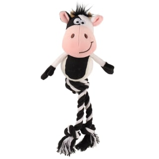 434563-tennis-ball-tummy-farm-cow