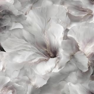 434605-fresco-flora-white-and-silver-wallpaper