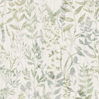 434644-fresco-willow-green-and-natural-wallpaper-2