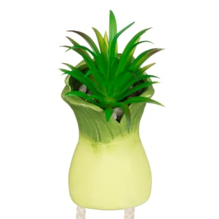 434836-dangly-leg-foliage-leek-2