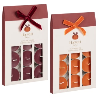 434922-12pk-harvest-scented-tealights-pumpkin-pie