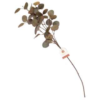 Harvest Home Eucalyptus Stem