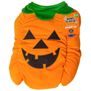 Halloween Pet Outfit S/M - Pumpkin