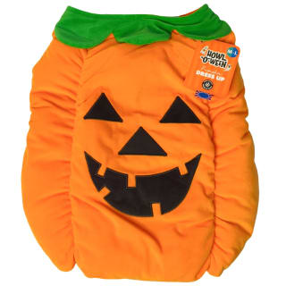 Halloween Pet Outfit M/L - Pumpkin