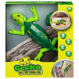 435502-wall-climbing-gecko