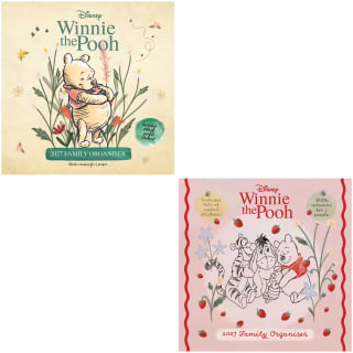 435770-winnie-the-pooh-family-organiser-green-2