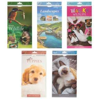 435779-midi-photograph-calendar-2027-group