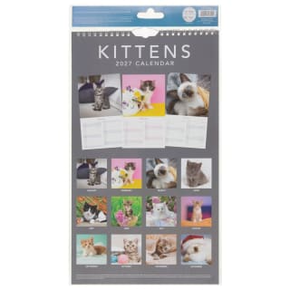 435779-midi-photograph-calendar-2027-kittens-2