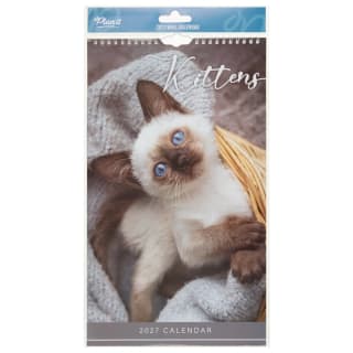 Midi Photograph Calendar 2027 - Kittens