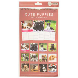 435779-midi-photograph-calendar-2027-puppies-2