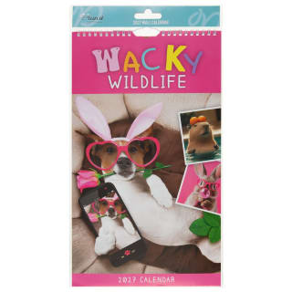 Midi Photograph Calendar 2027 - Wacky