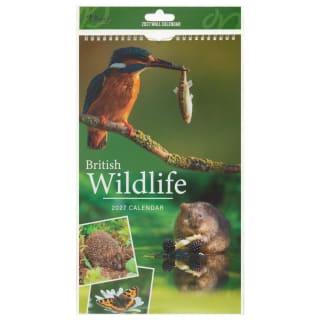 Midi Photograph Calendar 2027 - Wildlife