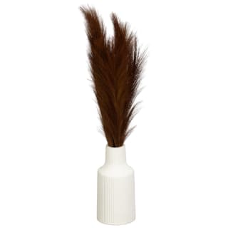 435997-brown-pampas-n-ribbed-pot