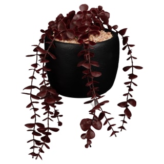 435999-stone-pot-with-red-trailing-foliage