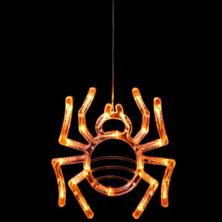 436065-orange-spider-window-light