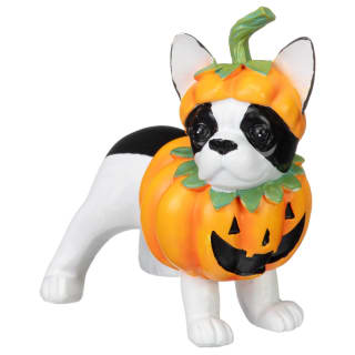 436404-fancy-dress-dogs-pumpkin