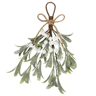 437023-hanging-mistletoe