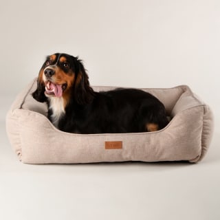 437092-scruffs-harmony-box-bed-medium-50-x-60cm-2