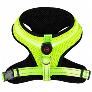 437401-flashing-harness-s-m-l