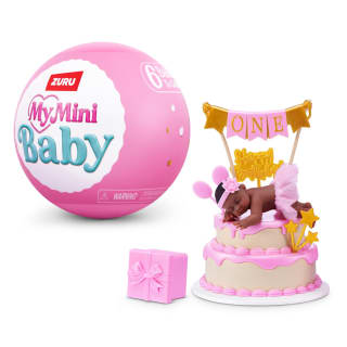 437515-mini-baby-birthday-surprise-6