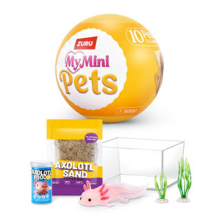 437517-mini-baby-pets-5