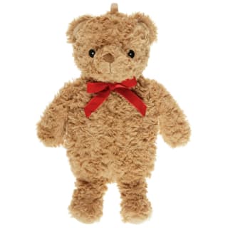 437539-teddy-bear-hot-water-bottle