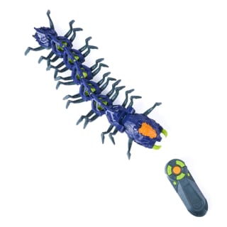 438151-hex-centipede-7