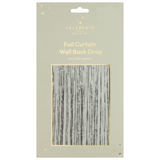 Celebrate Party Co. Foil Curtain Wall Backdrop - Silver