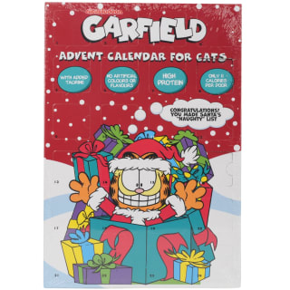 Garfield Advent Calendar for Cats