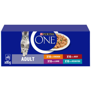 Purina One Mini Fillets in Gravy Wet Cat Food 40 x 85g - Mixed Selection