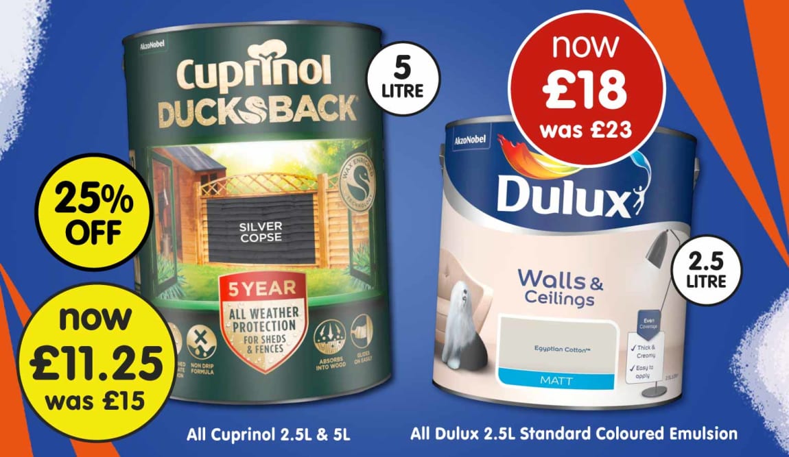B&M Paint Offers.