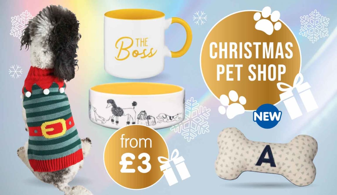 B&M Christmas Pet Shop.