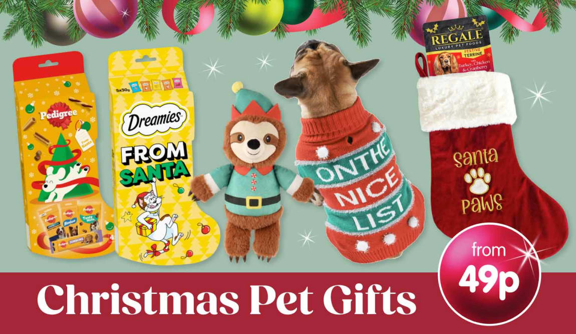 Christmas Pet Gifts at B&M. footer.