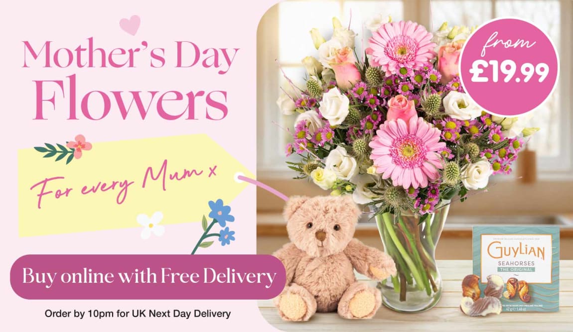 Buy Mother's Day Fresh Flowers online at B&M.