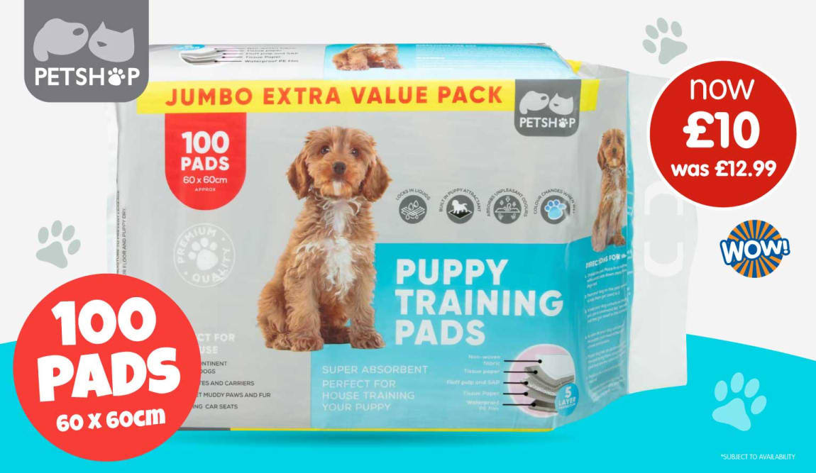 Save on Puppy Pads at B&M.