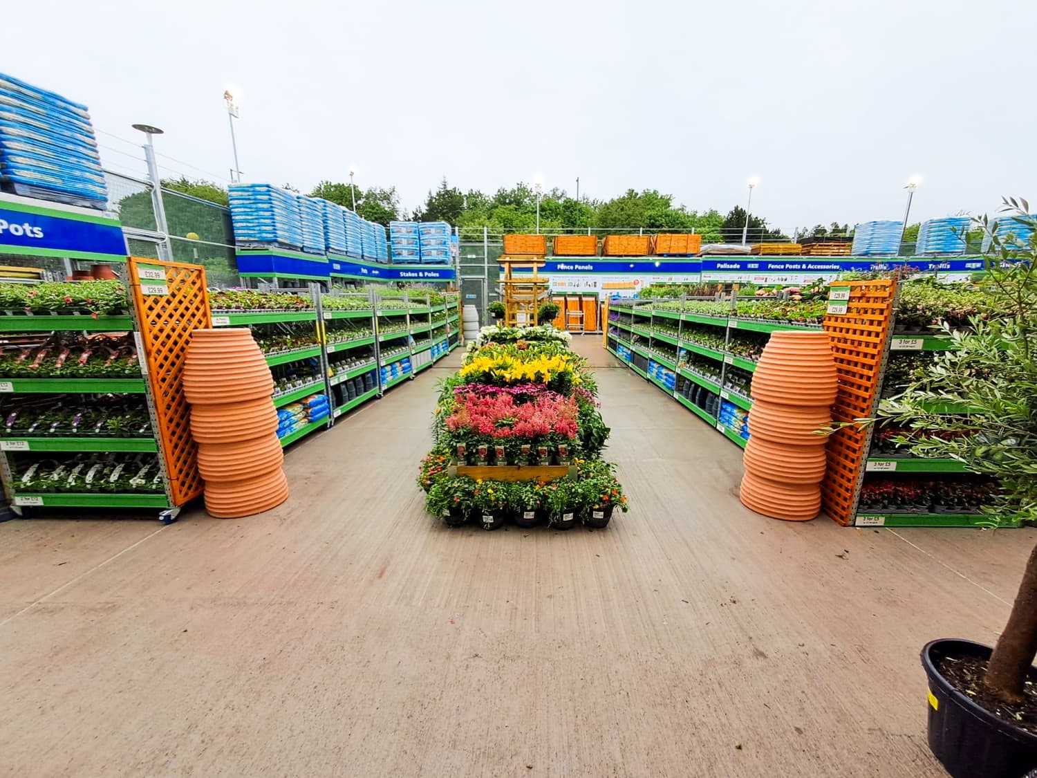 B&M Celebrate 250th Garden Centre Opening in Fort Kinnaird B&M