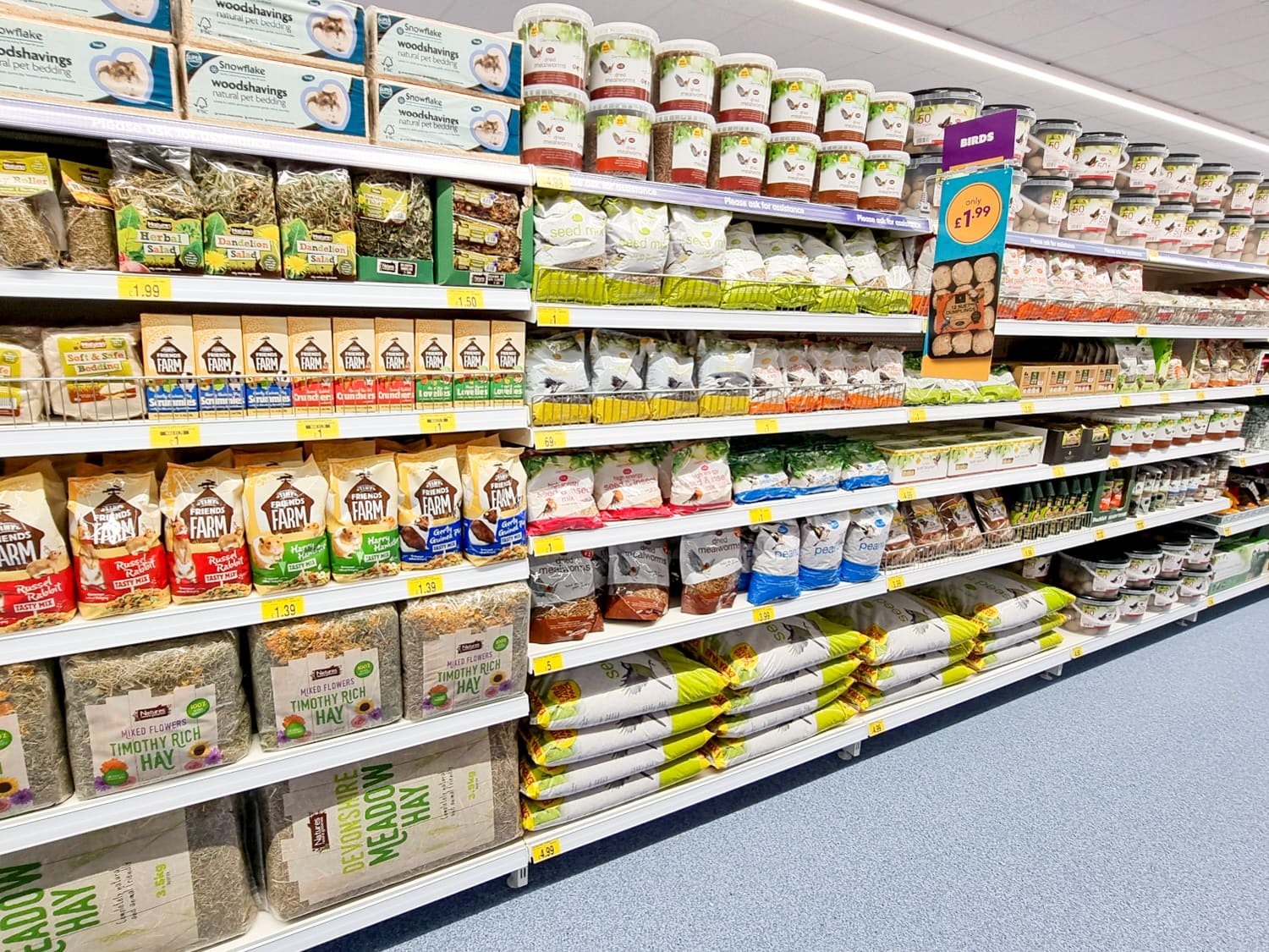 B&M Sets Up Shop in Haverfordwest's Bridge Meadow Retail Park B&M