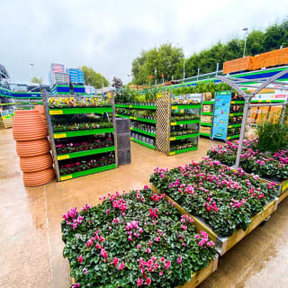 026-bandm-hemsworth-store-garden-centre-9