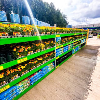 075-bmstores-viking-way-garden-centre-8